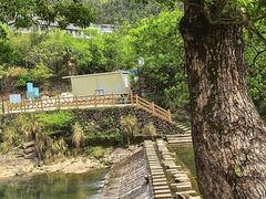 -芦茨金富饭庄·25年老字号·专做稻草鸡