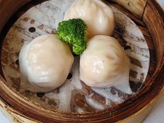 -新雅粤菜馆(南京东路店)