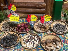 -老滇山寨•云南特色菜•地方菜•民族风情歌舞表演(金碧店)