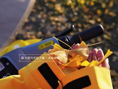 -汉长安城未央宫国家考古遗址公园