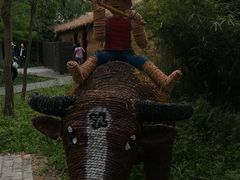 -溱湖国家湿地公园