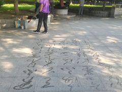 -西清公园