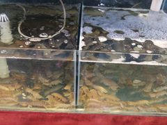 -聚德福海鲜家常菜(刘庄店)