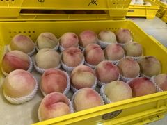 -老袁家蜜桃农场·阳山水蜜桃