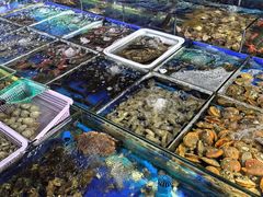 -霞涌市场海鲜摆卖区