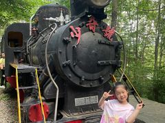 -五营红松林海景区