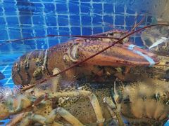 -阿明小菜·海鲜·上海菜(梅陇店)