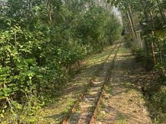 -合肥滨湖国家森林公园