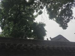 -春庄咖啡SpringHues(钟楼小区店)