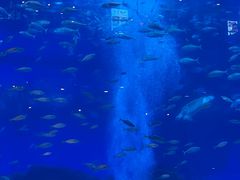 -成都浩海立方海洋公园