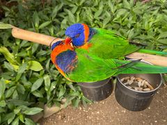 -南宫五洲植物乐园