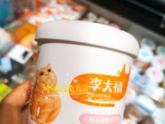 李大橘冰淇淋-盒马鲜生(文景博乐里购物广场店)