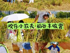 -光明小镇欢乐田园