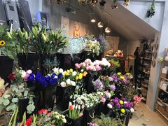 -ChaKo Flora ·茶子花艺 (市北店)