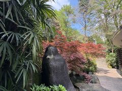 -南山植物园
