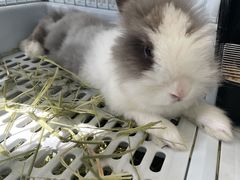 -小意思咖啡店(草桥店)
