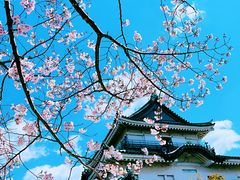 -南紀白浜 浜千鳥の湯 海舟