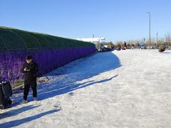 -绿野森林乐园冰雪季