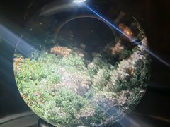 -杭州工艺美术博物馆