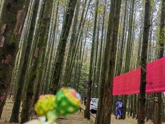-山王坪喀斯特国家生态公园