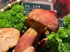 -芸山季·云南野生菌火锅(人民广场来福士店)