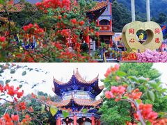 -东莞观音山旅游风景区
