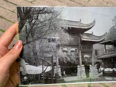 -武汉园博园(武汉自然博物馆)