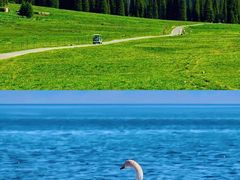-新疆那拉提国家旅游度假区