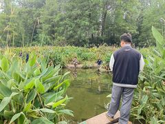 -重庆彩云湖湿地公园