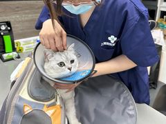 -爱侣宠医·鹦鹉专科·小型哺乳类·异宠专科(灵石路店)