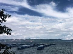-抚仙湖禄充风景区