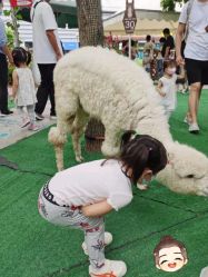 -萌宠亲子动物乐园(槐房万达店)