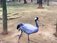 -鄱阳湖国家湿地公园