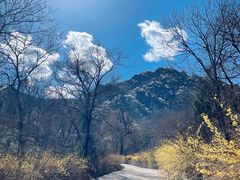 -北京鹫峰国家森林公园