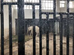 -新疆天山野生动物园