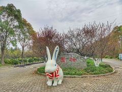 -上海海湾国家森林公园