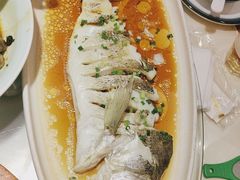 -松沪名灶·新上海菜(飞航吾悦广场店)