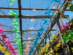 -亲兄弟真人CS团建拓展基地
