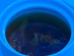 -银湖宴会中心-餐饮部