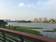 -立新湖公园