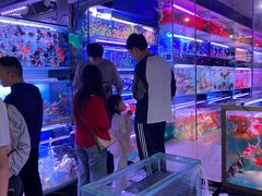 -青石桥花鸟鱼虫市场(叠翠城店)