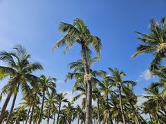 -三亚西岛海洋文化旅游区