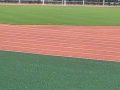 -深圳市体育中心体育馆主馆