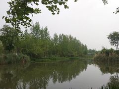 -白鹭湾湿地公园