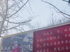 -千年银杏谷文化旅游区