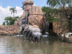 -美的鹭湖探索王国