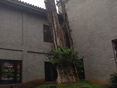 iphone_upload_pic-汴河街