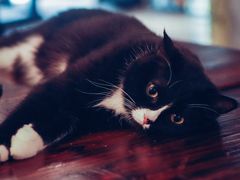 -么么咖啡(燕郊店)