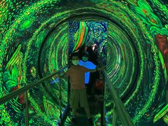 -梵高星空艺术馆(北京旗舰店)