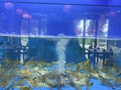 -阿尔法海鲜排档(爱琴海店)